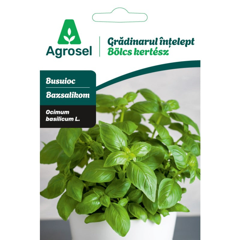 Seminte busuioc Gradinarul Intelept Agrosel