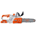 Electroferăstrău cu acumulator, Ruris 2524e, 20 V, lungime lamă 25 cm